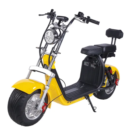 Citycoco Scooter eléctrico de 2 ruedas con neumático grueso Popular 2000W 60V CE con batería de litio extraíble 1500W
