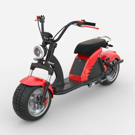 2023 Nueva llegada Citycoco EEC/Coc Chopper Scooter eléctrico 3000W Motor 60V 20ah/30ah con alta velocidad 70km/H