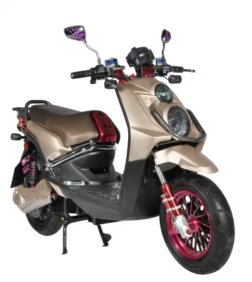 Scooter eléctrico de motocicleta de alta velocidad de 50 ~ 80 km/h