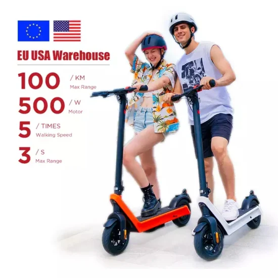 UE EE. UU. Stock 100 km de largo alcance 1000 W Potente scooter eléctrico para adultos de doble tracción Neumáticos todo terreno de 10 pulgadas Scooter eléctrico plegable para Suecia Adulto Raycool