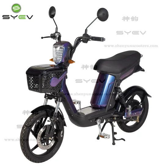 2 ruedas 500W Scooter eléctrico Scooter de movilidad eléctrica con cable 48V12Ah